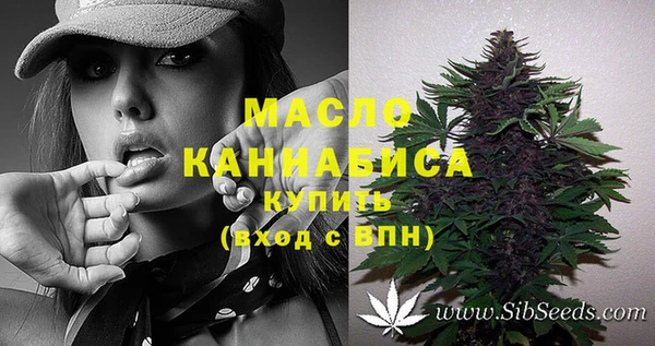 стафф Верхний Тагил