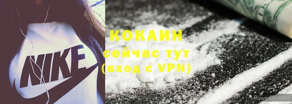 стафф Верхний Тагил