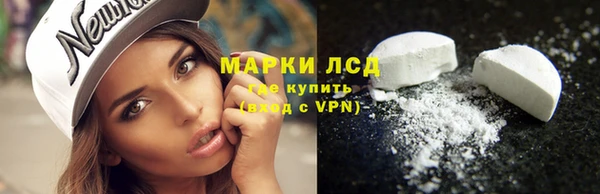 прущие грибы Верхнеуральск
