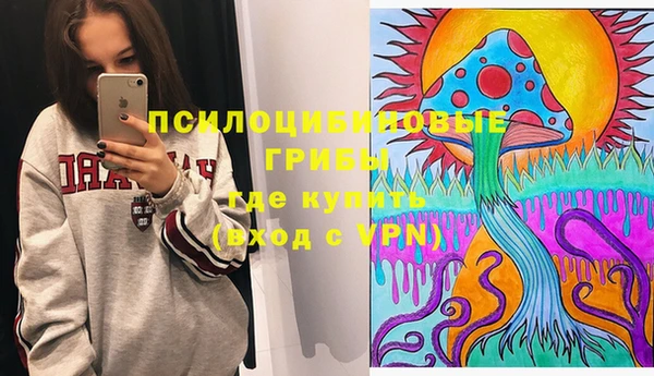 стафф Верхний Тагил