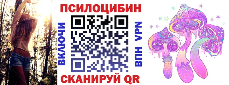 купить закладку  Кедровый  Галлюциногенные грибы GOLDEN TEACHER 